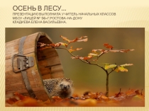 : Осень в лесу.