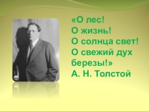 Презентация Наш русский лес