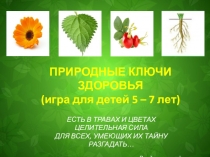 Презентация о полезных свойствах растений для человека Ключи здоровья (дошкольники 5-7 лет)