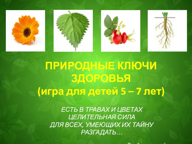 Презентация Презентация о полезных свойствах растений для человека Ключи здоровья (дошкольники 5-7 лет)