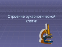 Презентация по биологии Строение эукариотической клетки