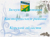 Презентация к классному часу Покормите птиц зимой! (3 класс)