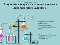 Проектная работа Получение сахара из столовой свеклы