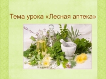 Презентация на урок окружающего мира во 2-ом классе Лесная аптека