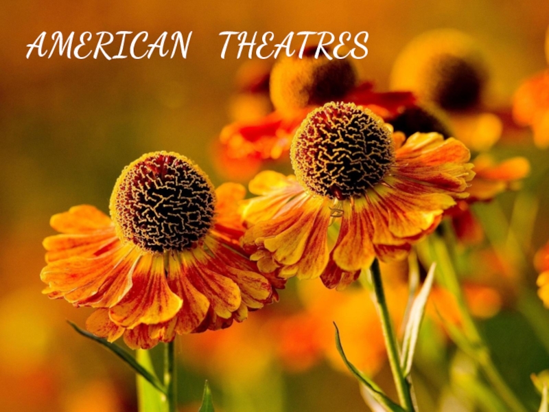 Презентация Презентация по английскому языку на тему American Theatres (9 класс)