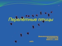 Презентация к НОД Перелетные птицы