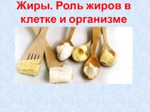 Презентация по биологии на тему: Роль жиров в клетке и организме