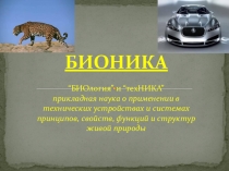 Презентация по биологии на тему Бионика.