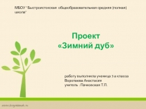 Презентация информационного проекта Зимний дуб