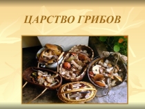 Презентация по окружающему миру на тему Грибная поляна ( 2 класс)