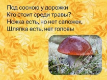 Презентация по предмету Человек и мир на тему Съедобные и ядовитые грибы. Правила сбора грибов (2 класс)