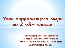 Презентация по окружающему миру на тему Какой бывает транспорт