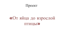 Презентация От яйца до взрослой птицы