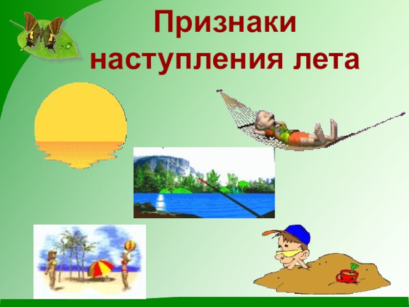 6 признаков лета. Признаки лета. Признаки наступления лета. Признаки лета в природе. Признаки летом.