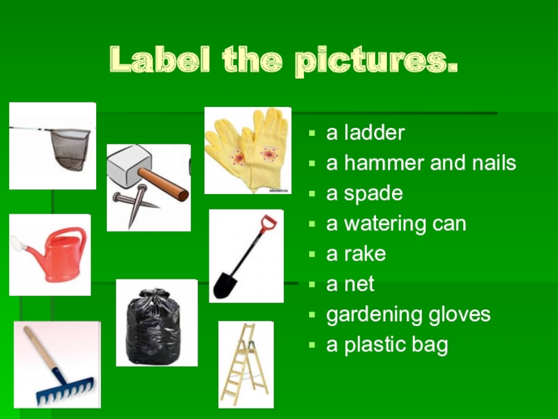 Label the pictures.a laddera hammer and nailsa spadea watering cana rakea netgardening glovesa plastic bag