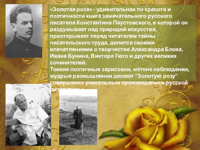 «Золотая роза» - удивительная по красоте и поэтичности книга замечательного русского писателя Константина Паустовского, в которой он