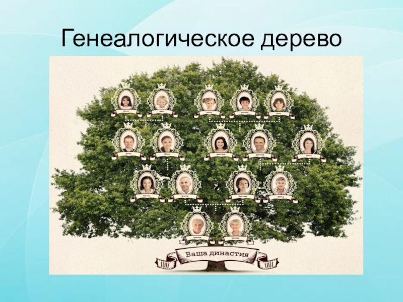 Генеалогическое дерево